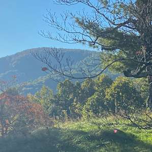Mtn. View Camper + Tent Sites