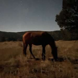 Took this in almost complete darkness with iPhone 12 pro max.