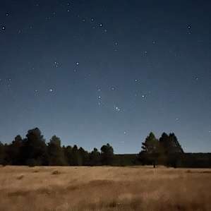 The stars! (Spot 5)