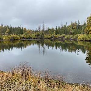 Forest with Private Lake