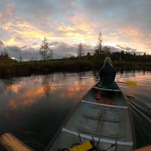 Autumn Colours! Cosy Canoe Cottage