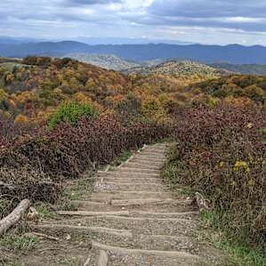 Max Patch Views