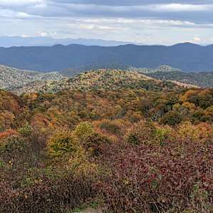 Max Patch Views