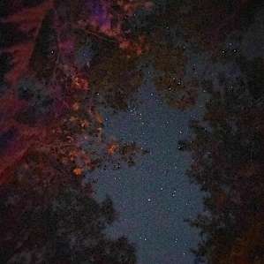 Another star gazing photo