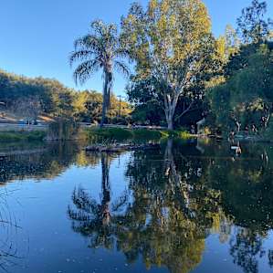 Gracewood Santa Barbara