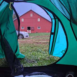 Camping with Unruly Goats
