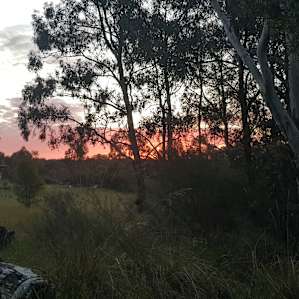 Farm camping with stunning views