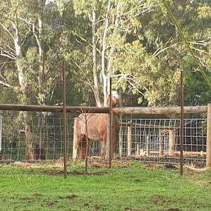 Ferndale Farm