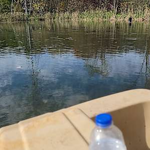 Songbird Suite on Large Pond