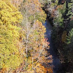 Creekside Woods