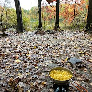 Lake and Forest Camping