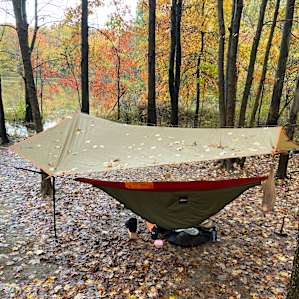 Lake and Forest Camping