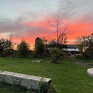 Peace Camp At Purplehaze Acres