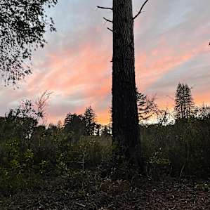 Redwood Nook with Sunset Views #1