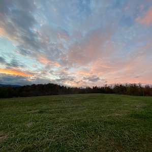 Primitive Farms Camping