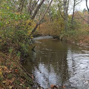 Primitive Farms Camping