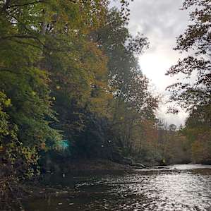 All the fall leaves falling into the river. October was a perfect choice for staying here!