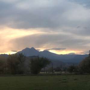 Natural Highs Farm