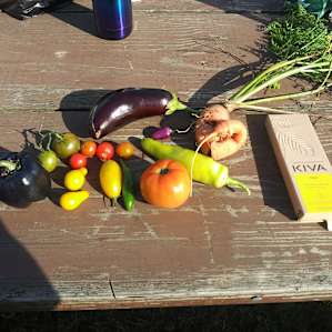 Fruitdale Farm Primitive Camping