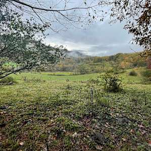 View from site 7