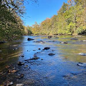 Tye River