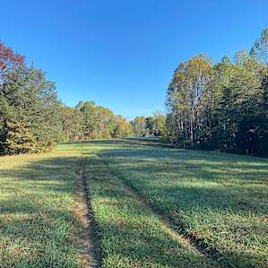 Twin Poplar Farm / In the Field