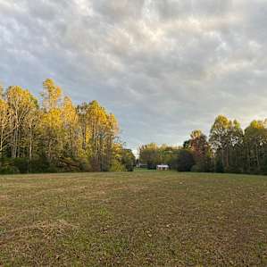 Twin Poplar Farm / In the Field