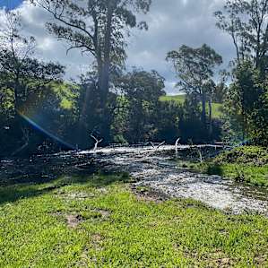 Blythe River Camp Ground