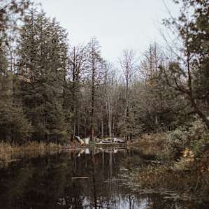 He's built in so many beautiful nature elements, including this pond which also has a well-groomed path around for walking.