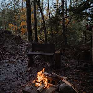 As you can see, being tucked away in the woods is so lovely, feels like backcountry camping with the ability to drive right to the door!