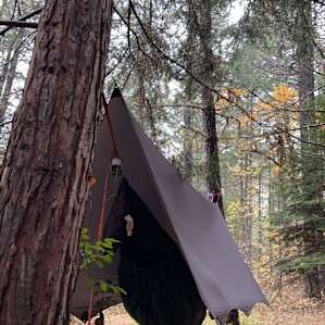 Hidden Forest Getaway-Rogue River