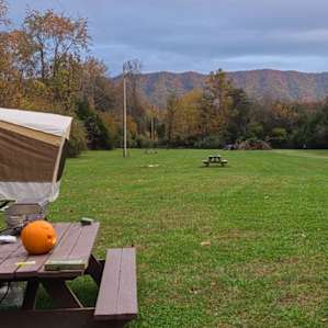 The Meadow 11 - Open Meadow