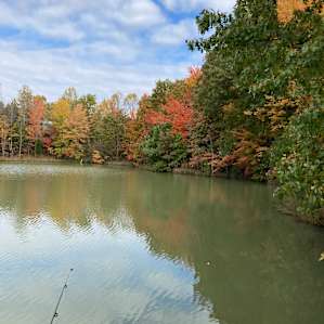 Lake View camping