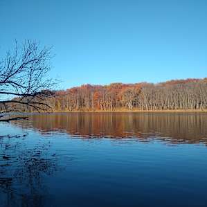 McCoy's River Retreat