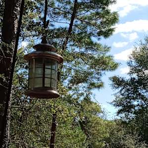 Whispering Pines