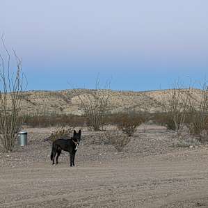 Croesus Canyon Camps Car Camping