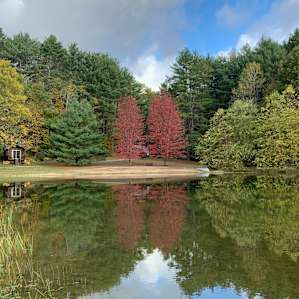 Rustic Barn Campground Tent Sites
