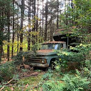 Rustic Barn Campground Tent Sites