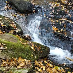 Private campsites miles of trails!