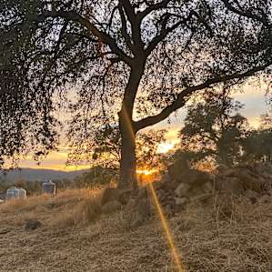 Sunset from the farm