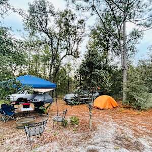 Family Farm - Wooded campsites