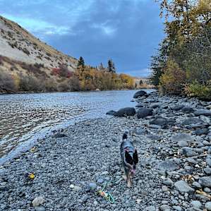 Short walk to river