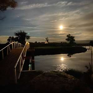 Twisselman's - Entire Pond Property