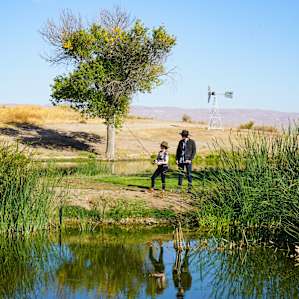 Fishing around the pond