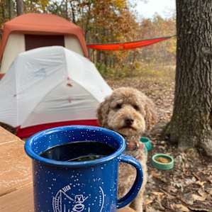 Secluded Campsite by the lake