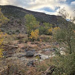 Campsite view of book