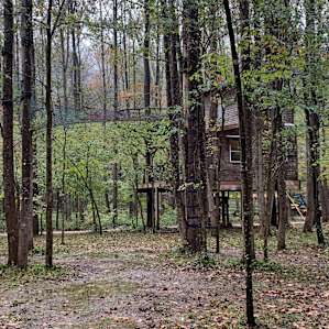 Black Walnut Grove at Happy Hollow