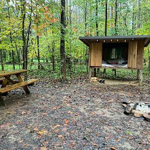 Black Walnut Grove at Happy Hollow