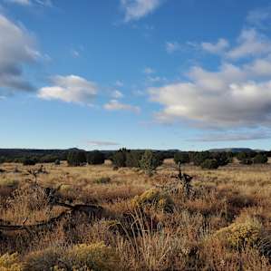 Dispersed site