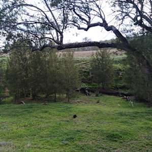 Emu Creek